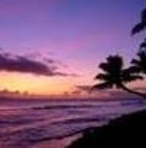 Meet your Posher, Kristin